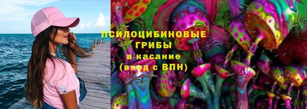 ECSTASY Медногорск
