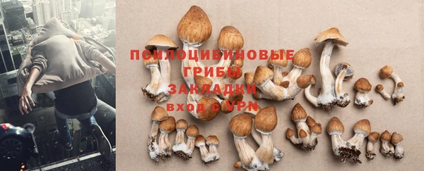 mdma Мегион