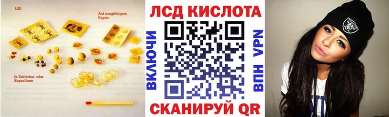 kraken как зайти  Александровск  ЛСД экстази кислота 