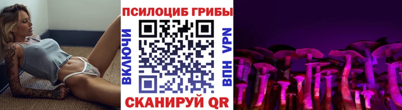 хочу   Александровск  Псилоцибиновые грибы ЛСД 