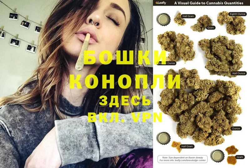 купить наркотики цена  Александровск  Каннабис OG Kush 